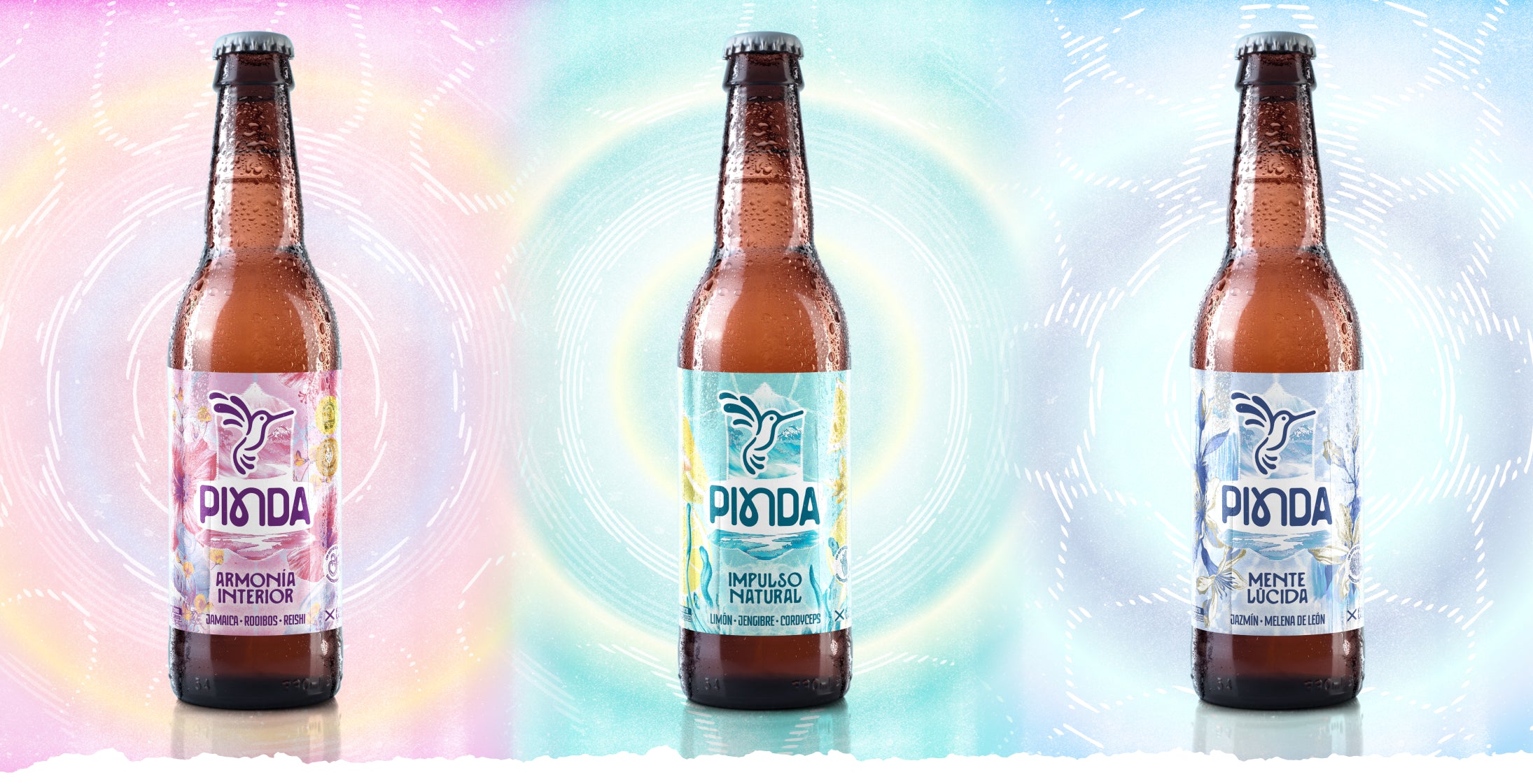ortada desktop de la línea adaptógena de kombuchas Pinda, mostrando la colección de botellas sobre fondo blanco y elementos botánicos, transmite serenidad, equilibrio y funcionalidad de ingredientes naturales como Reishi y Cordyceps