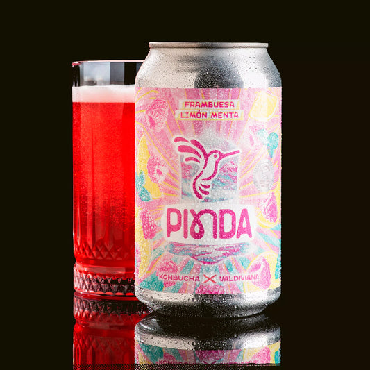 Frambuesa Limón Menta - Fresca y Revitalizante - Pinda 350ML