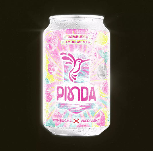Frambuesa Limón Menta - Fresca y Revitalizante - Pinda 350ML