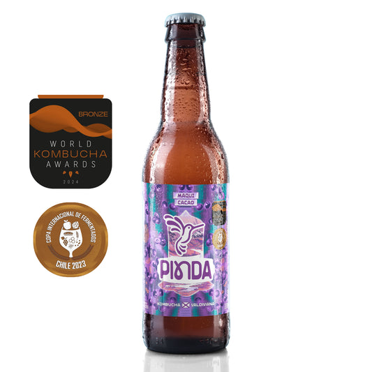 Botella de kombucha Pinda Maqui Cacao, bebida fermentada con maqui chileno y nibs de cacao, galardonada internacionalmente, con sabor afrutado y toque achocolatado